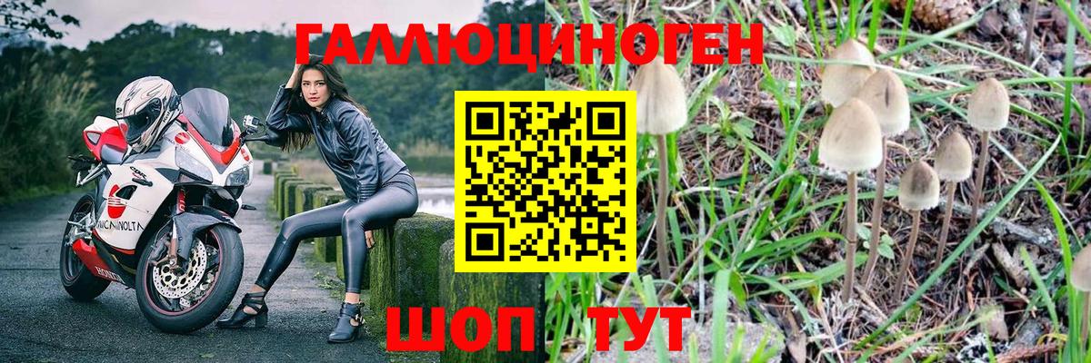 Псилоцибиновые грибы ЛСД  Вход с VPN  Апатиты 