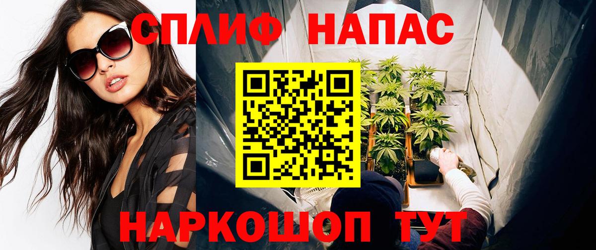 Бошки Шишки White Widow  Конопля ГИДРОПОН  Вход с VPN  Бошки Шишки тримм  Бошки Шишки семена  Апатиты 